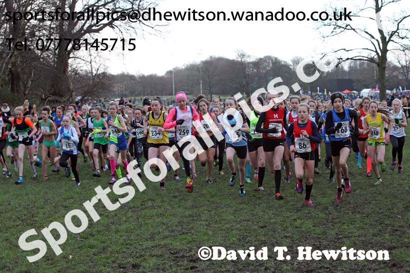 Girls under-13 Northern Cross Country Champs., Witton Park, Blackburn. Photo: David T. Hewitson/Sports for All Pics